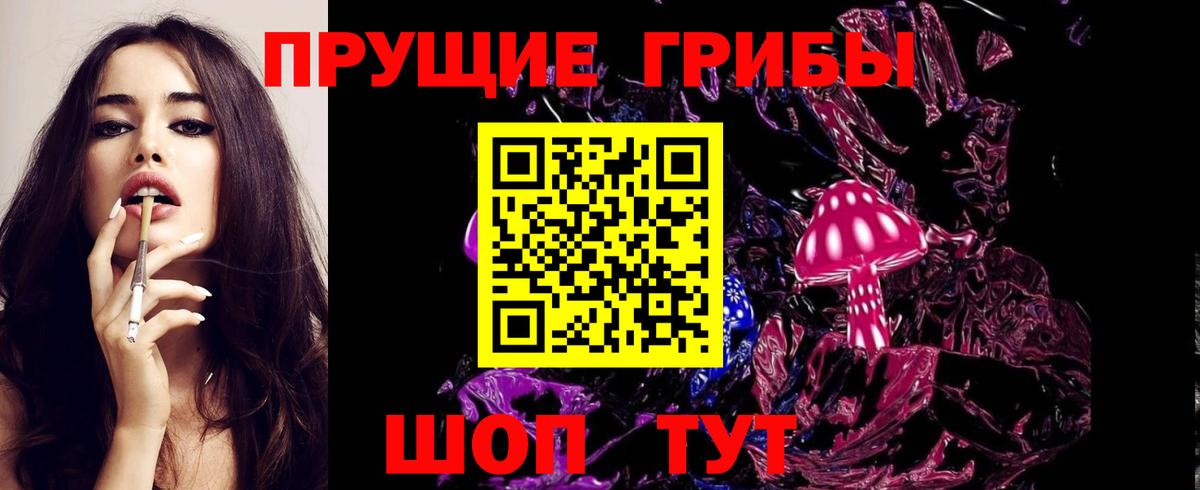 Псилоцибиновые грибы Psilocybine cubensis Ступино